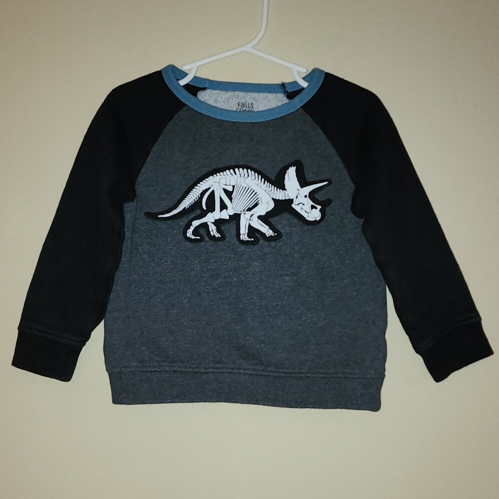 Falls Creek Kids Dinosaur Sweatshirt 3T